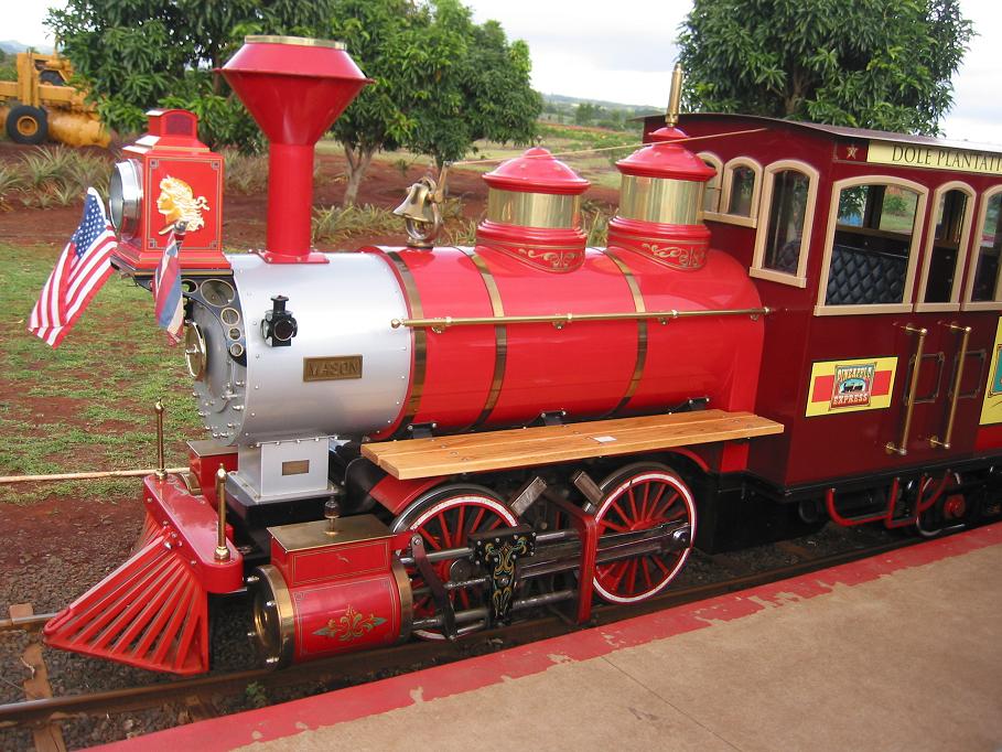 Dole Pineapple Express