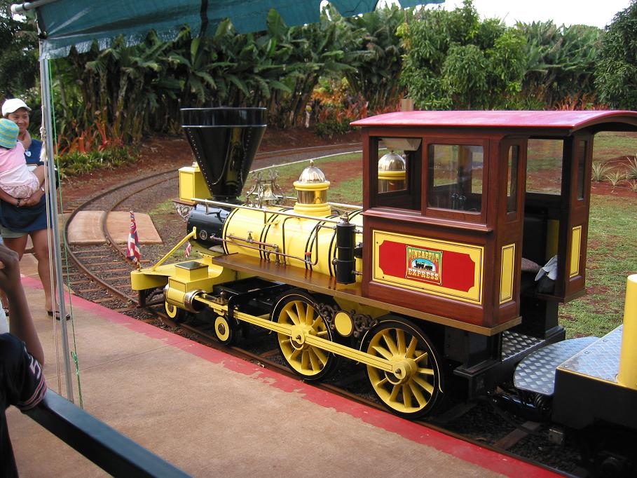 Dole Pineapple Express